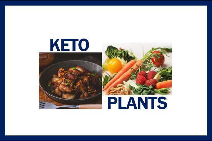 Keto Vs Plant Based Diet
 A Plant Based Diet Is More Beneficial than a Keto Diet