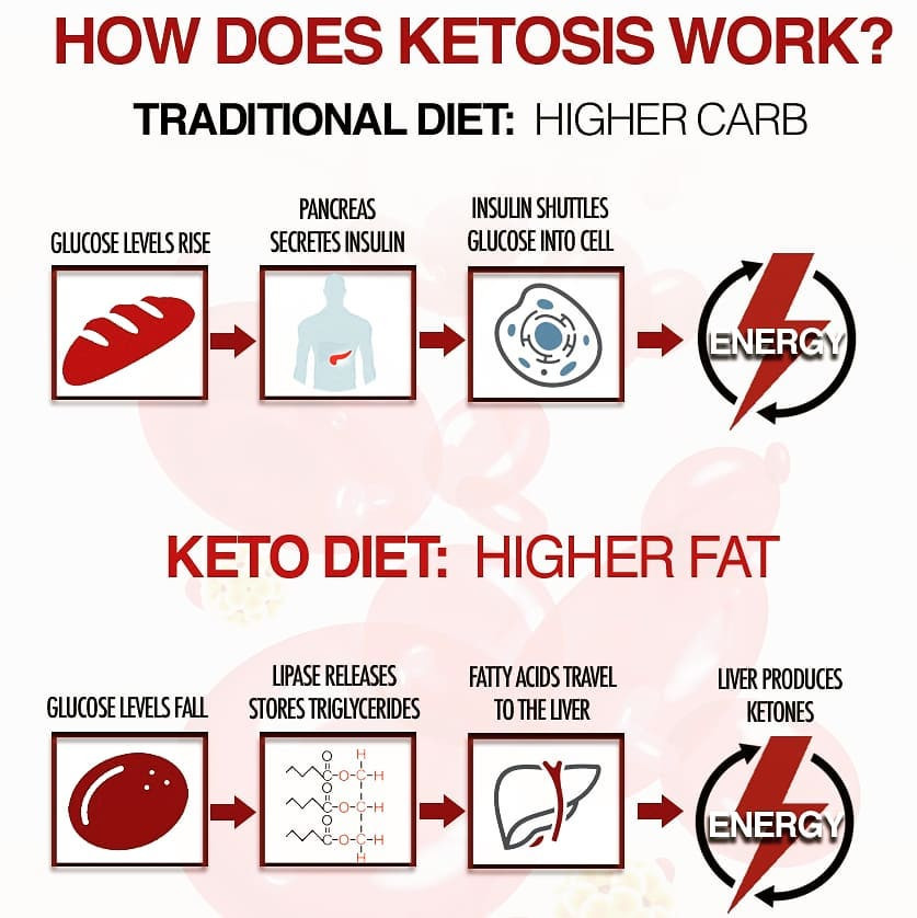Ketosis Diet Plan
 KETO DIET PLAN FOR BEGINNERS STEP BY STEP GUIDE