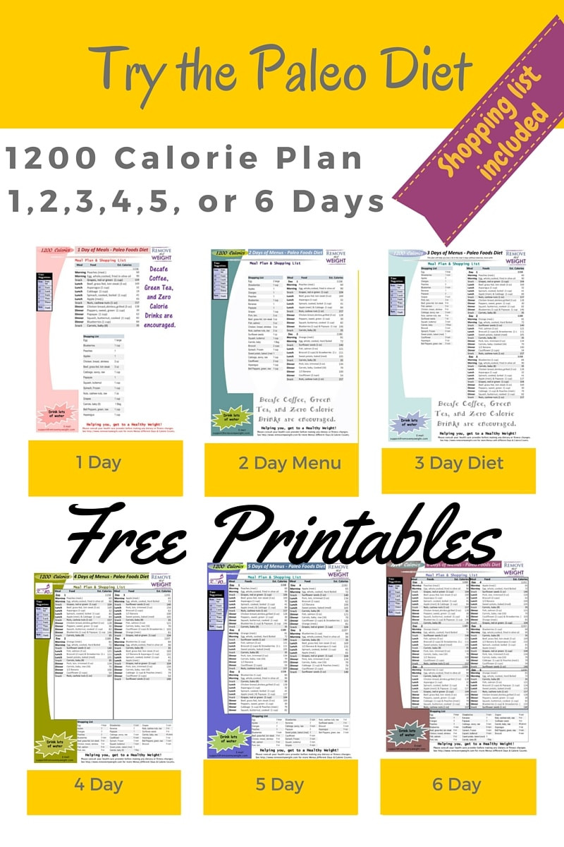 Low Calorie Diet Plan For Women
 Printable 1200 Calorie Paleo Diet for 6 Days plus grocery list