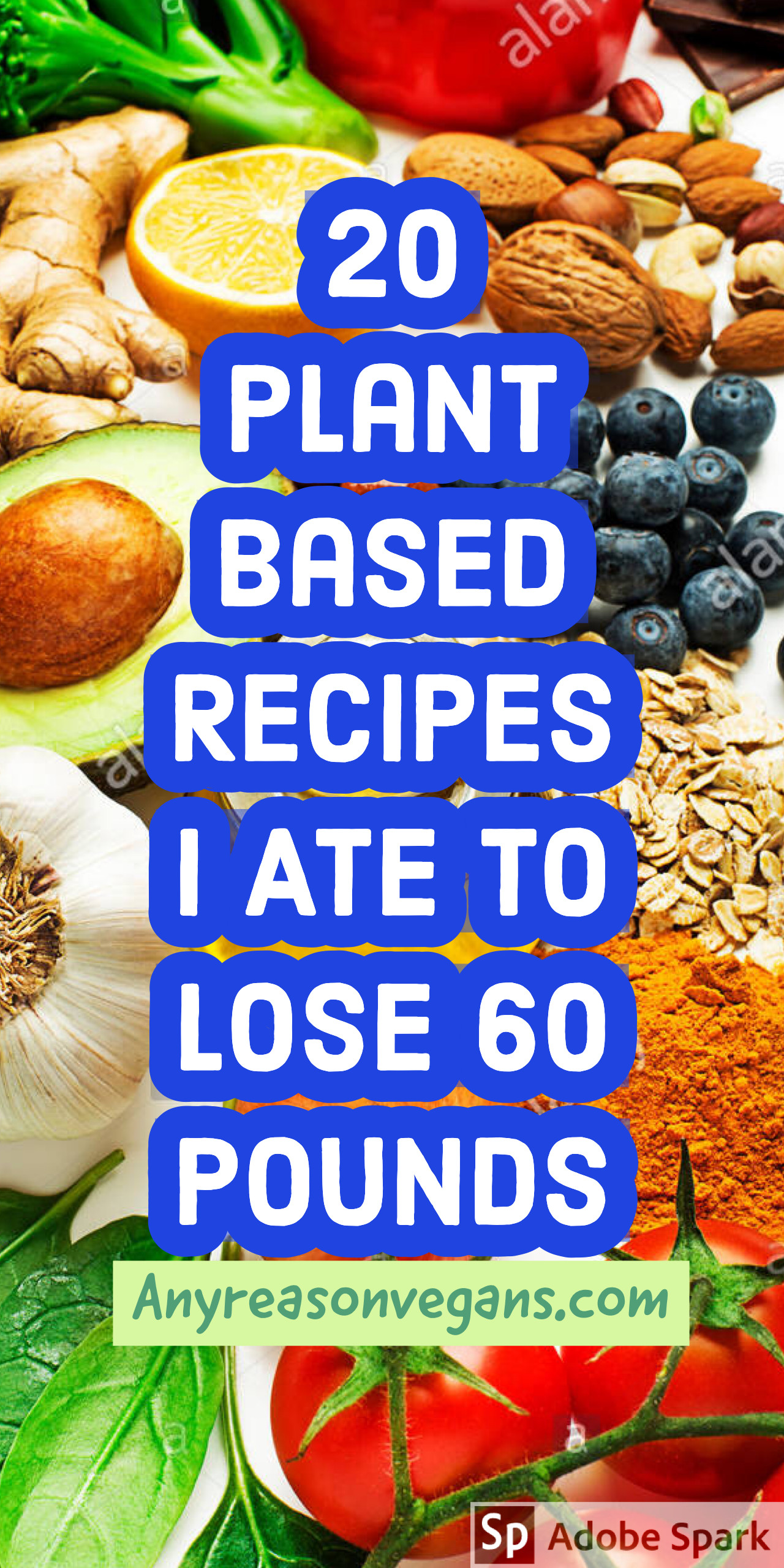 Low Calorie Plant Based Recipes
 Get these 20 Plant Based Recipes I Ate To Lose 60 LBS for