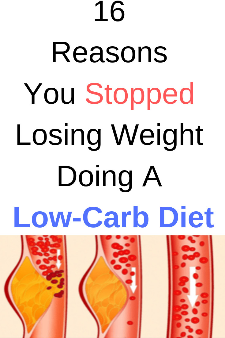 Low Carb Diet For Beginners Losing Weight
 Top 16 Reasons You Stopped Losing Weight Doing A Low Carb