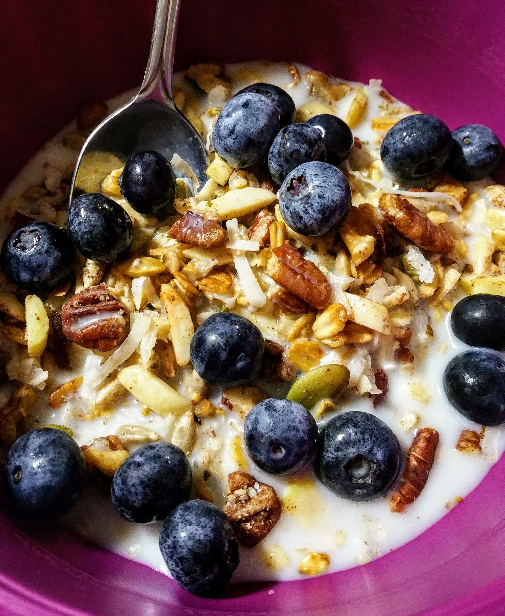 Low Carb Vegan Breakfast
 Low Carb Vegan Meusli Cereal Recipe