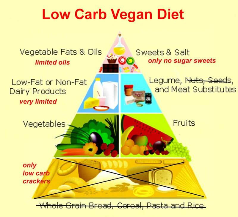 Low Carb Vegan Plan
 Vegan Protein Sources Dr Richard Lipman M D Miami FL