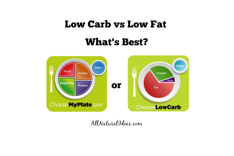 Low Carb Vs Low Fat Diet
 Low Carb vs Low Fat Diets What s Better