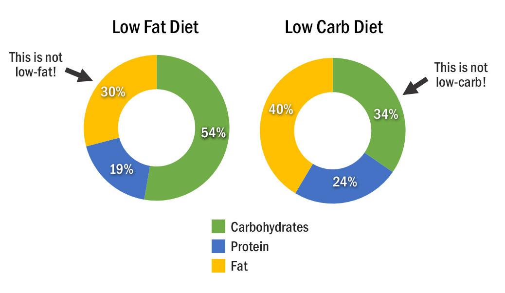 Low Carb Vs Low Fat Diet
 Research on Low Carb vs Low Fat Diets The Never Ending