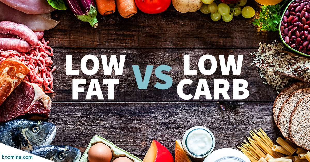 Low Carb Vs Low Fat Diet
 Low fat vs low carb Major study concludes it doesn’t