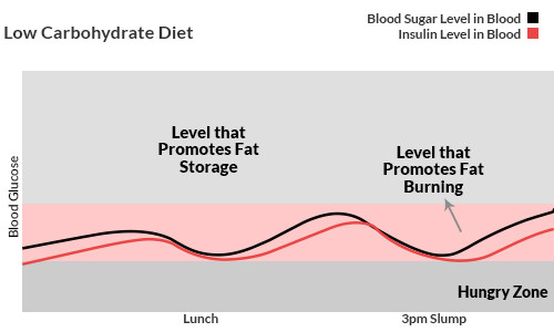 Low Carbohydrate Diet Blood Sugar
 Why Low Carb Diets Produce Weight Loss Fact vs Fitness
