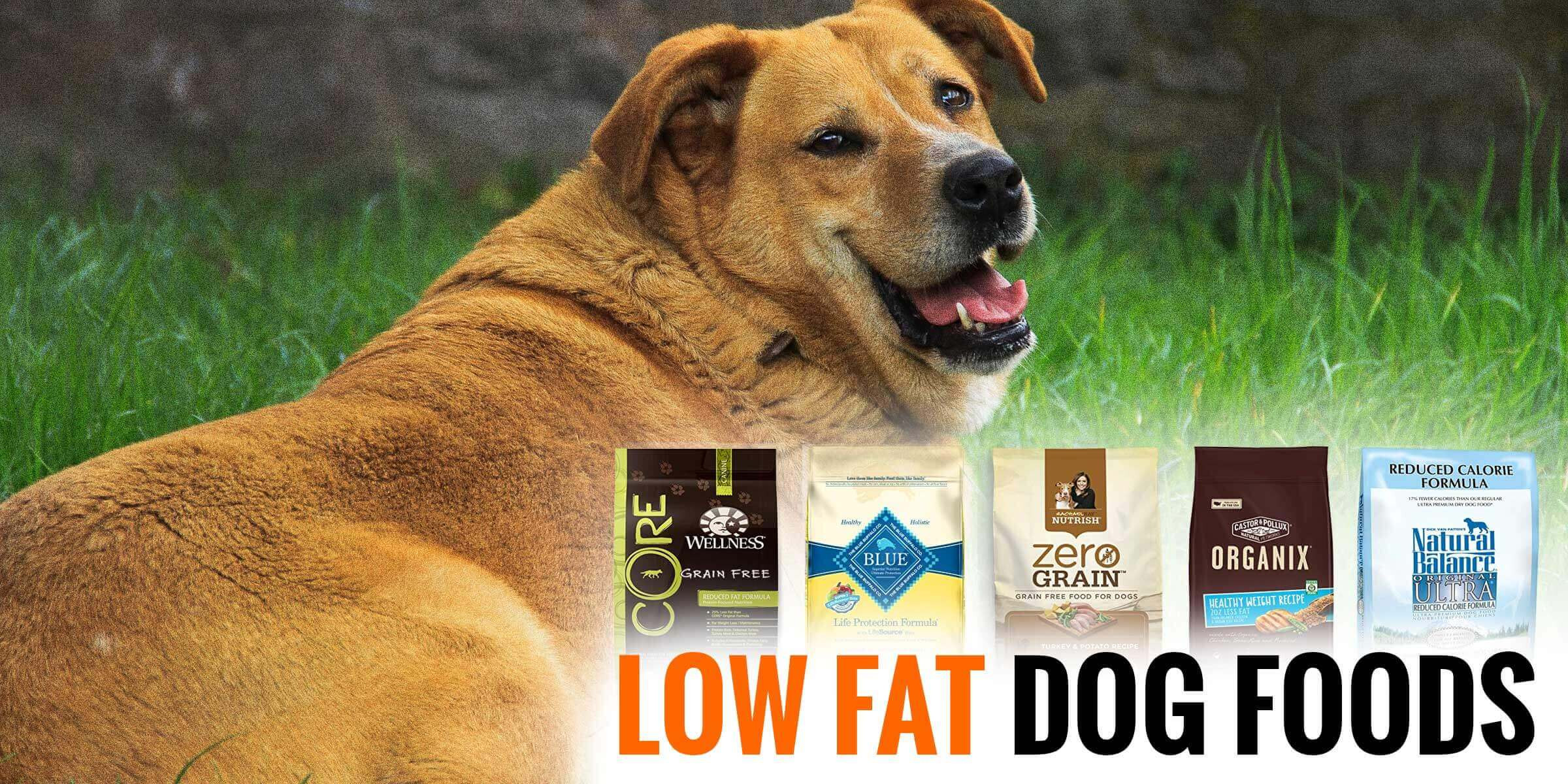 Low Fat Diet For Dogs
 Low Fat Dog Food — Guide & Reviews of 5 Best Weight