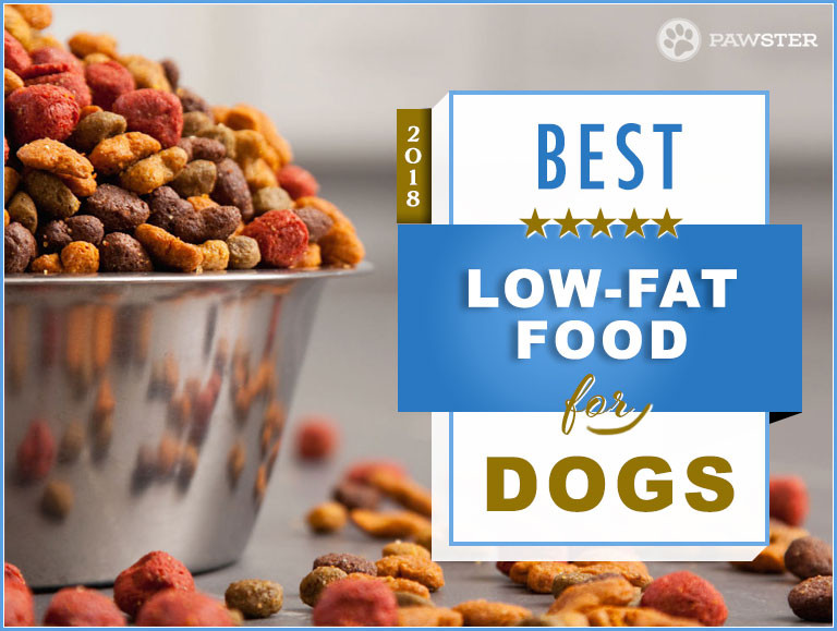 Low Fat Diet For Dogs
 Best Low Fat Dog Foods for Pancreatitis