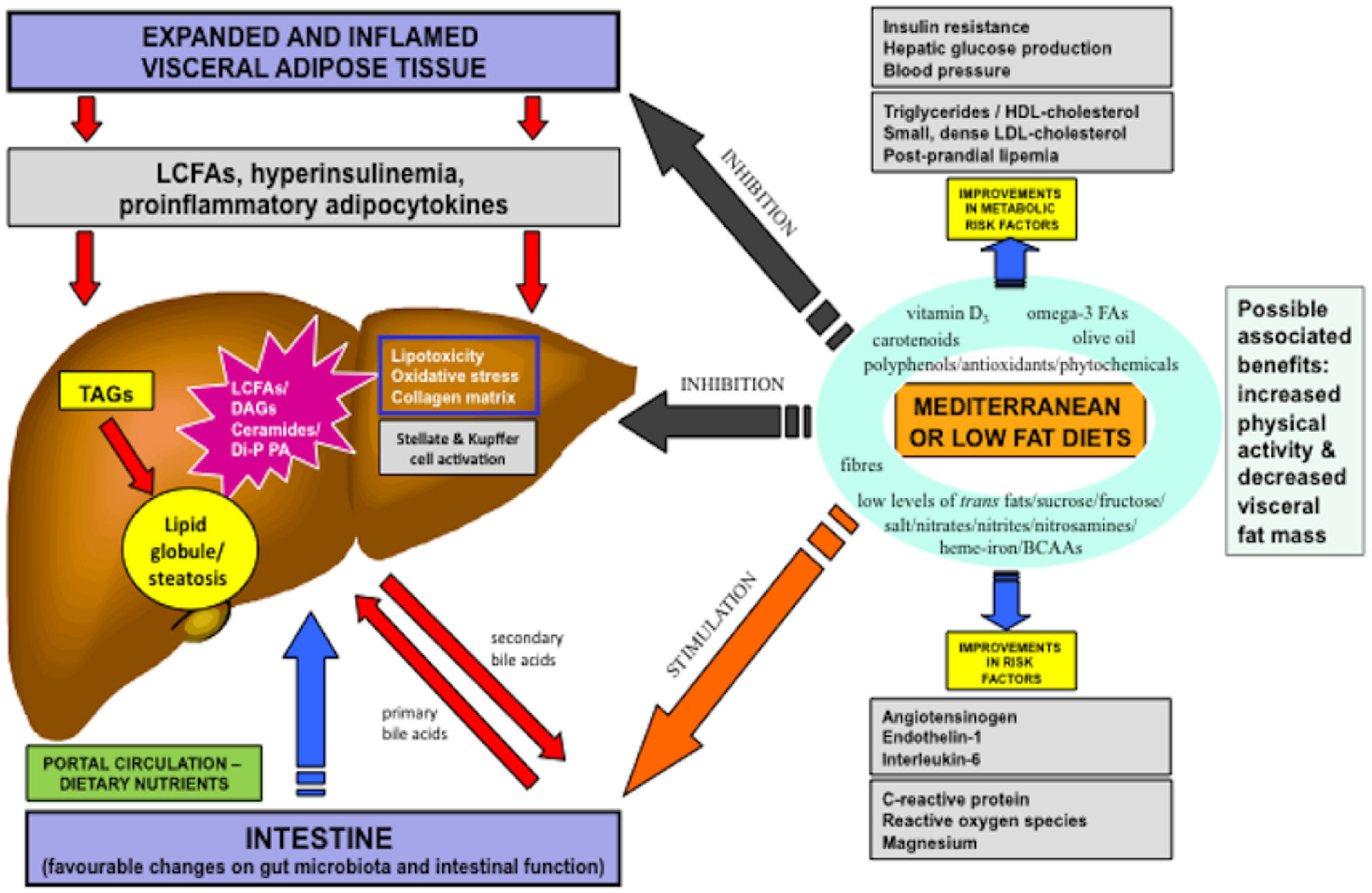 Low Fat Diet For Fatty Liver
 Ad Libitum Mediterranean or Low‐Fat Diets as Treatments