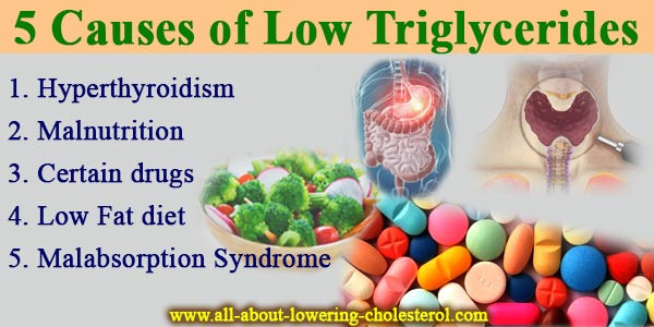 Low Fat Diet For Triglycerides
 The 5 Causes of Low Triglycerides