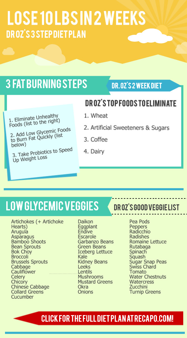 Low Fat Diet Losing Weight Dr. Oz
 Dr Oz 2 Week Diet List of Low Glycemic Ve ables Low