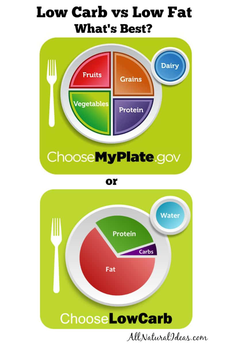 Lowcarb Low Fat Diet
 Low Carb vs Low Fat Diets What s Better