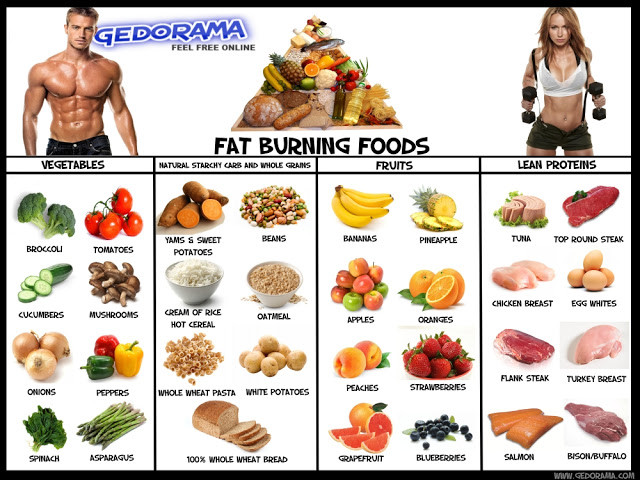 Lower Belly Fat Burning Foods
 Belly fat burning food list pdf glutamine supplement dosage