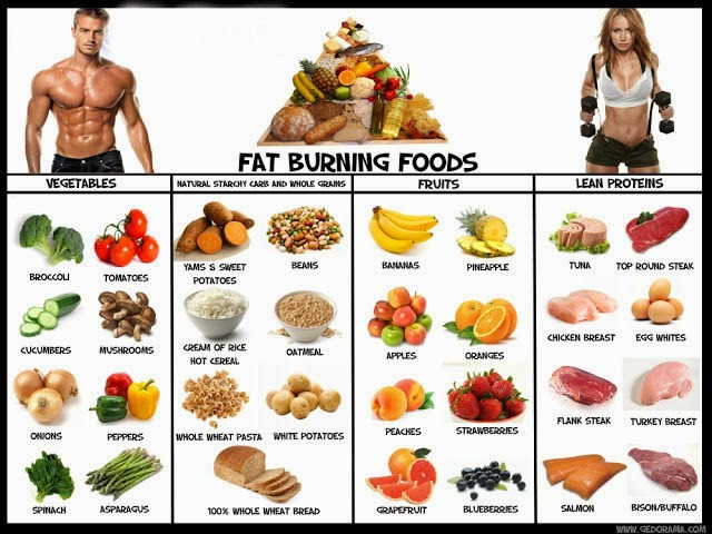 Natural Fat Burning Foods
 Best Fat Burning Foods ListWeight Loss Tips