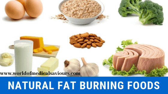 Natural Fat Burning Foods
 Natural fat burning foods Medical Blog For Students