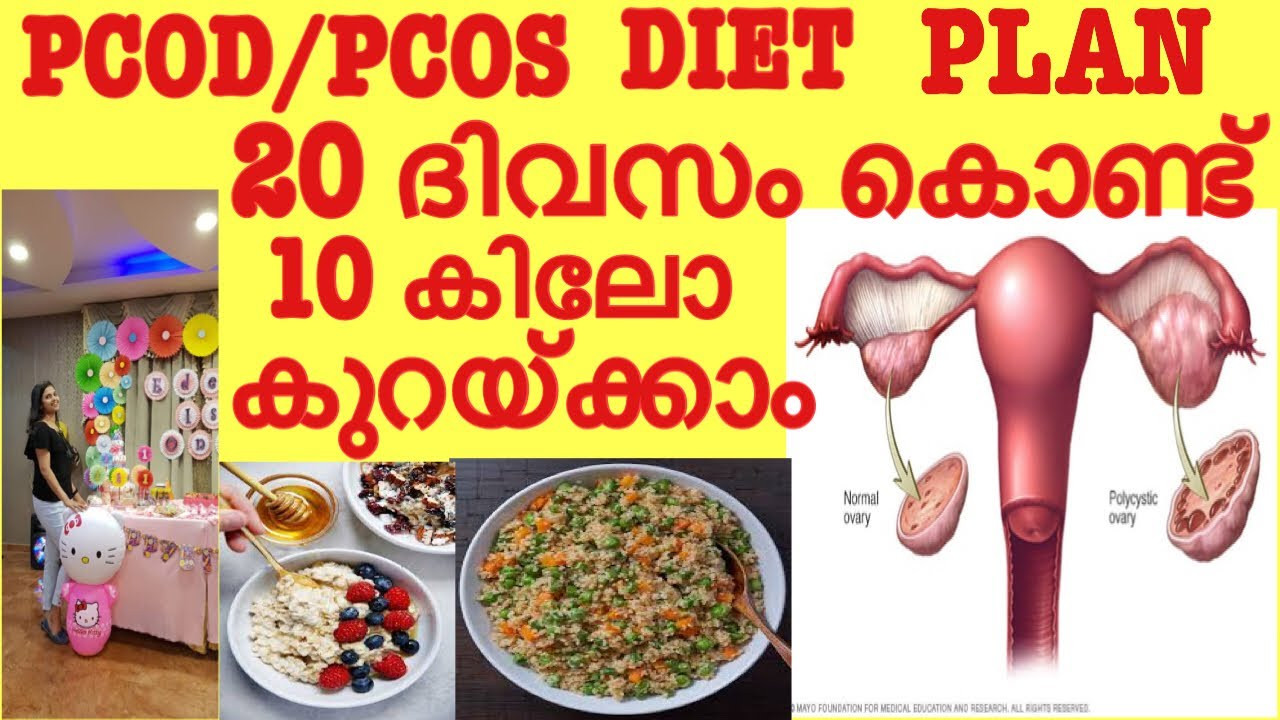 Pcos Weight Loss Meal Plan
 PCOD PCOS Weight Loss Diet Plan Lose Weight Fast 10 Kgs