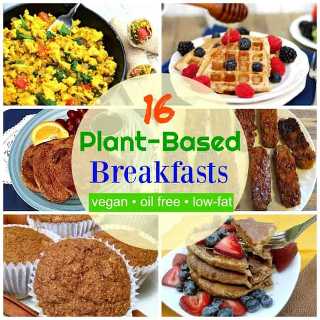 Plant Based Diet Breakfast
 16 Vegan Breakfast Ideas