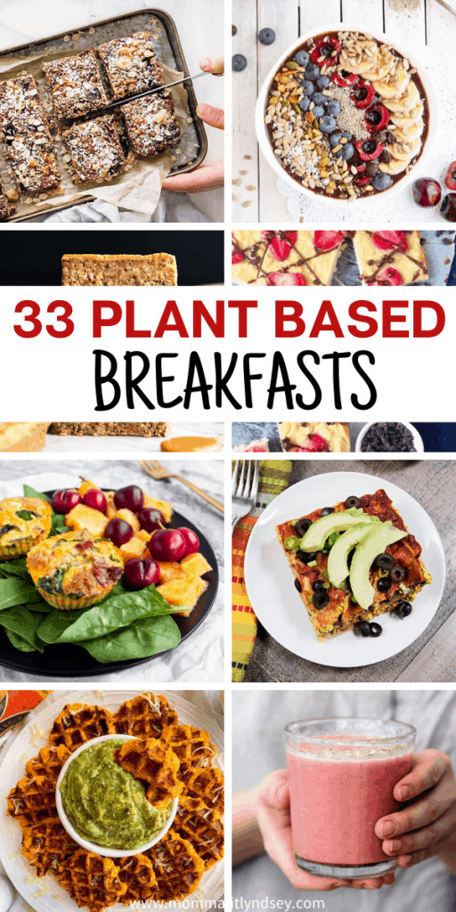 Plant Based Diet Breakfast Ideas
 33 Plant Based Breakfast Recipes for Breakfast Momma Fit