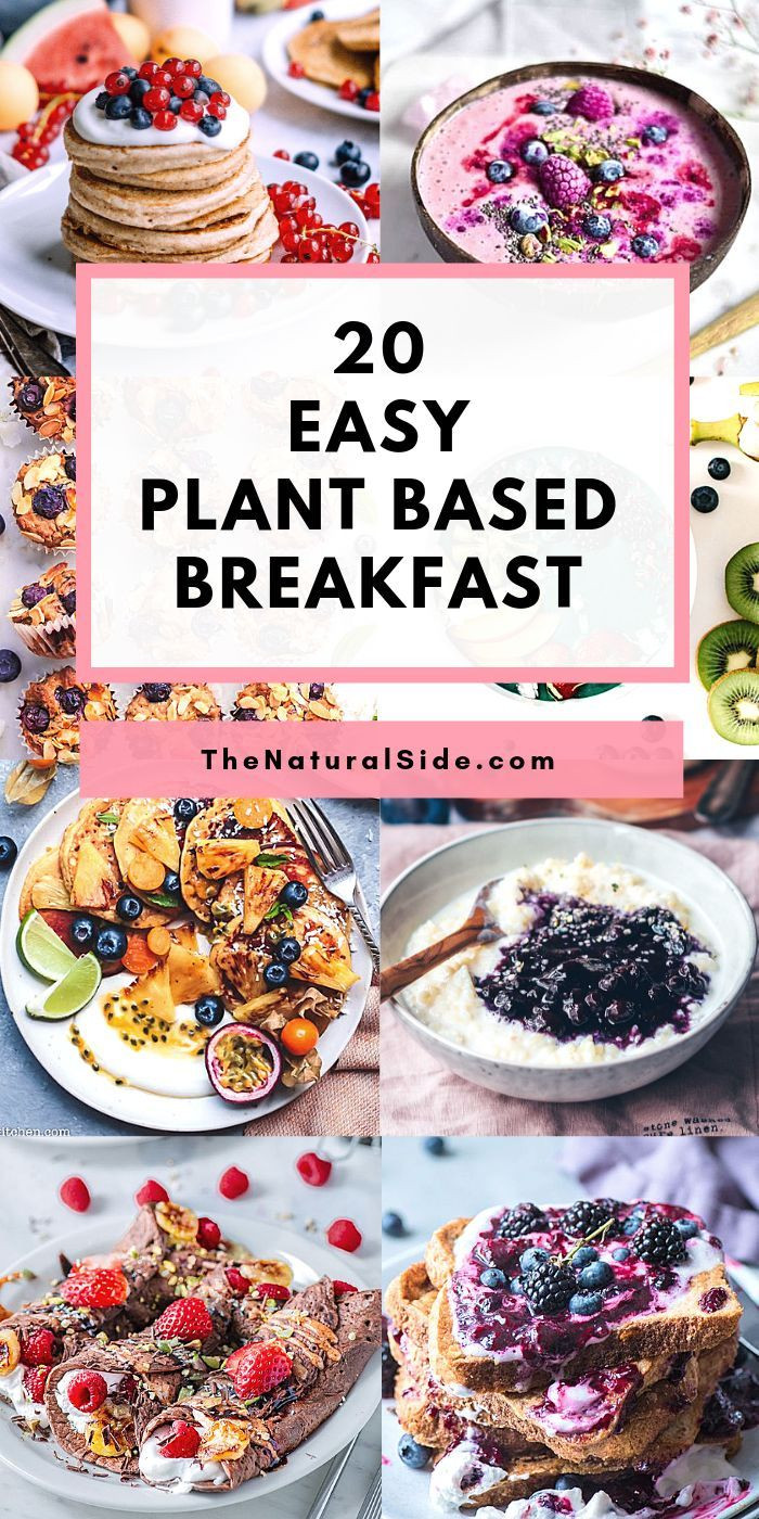 Plant Based Diet Breakfast Ideas
 Looking easy plant based recipes for breakfast Check out