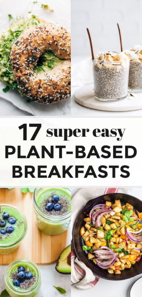 Plant Based Diet Breakfast Ideas
 17 Delicious & Easy Plant Based Breakfast Recipes