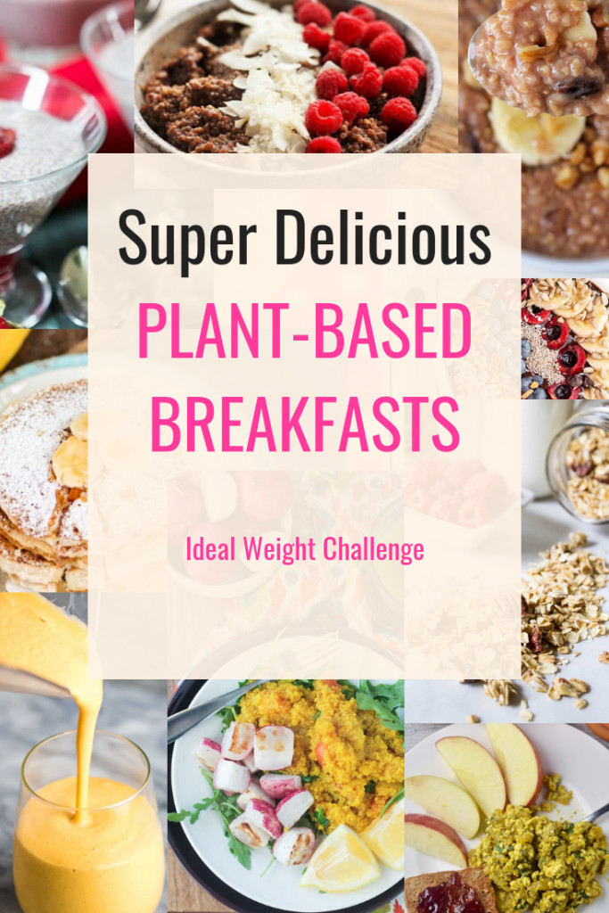 Plant Based Diet Breakfast Ideas
 Super Yummy Plant Based Breakfasts Recipes Delicious and