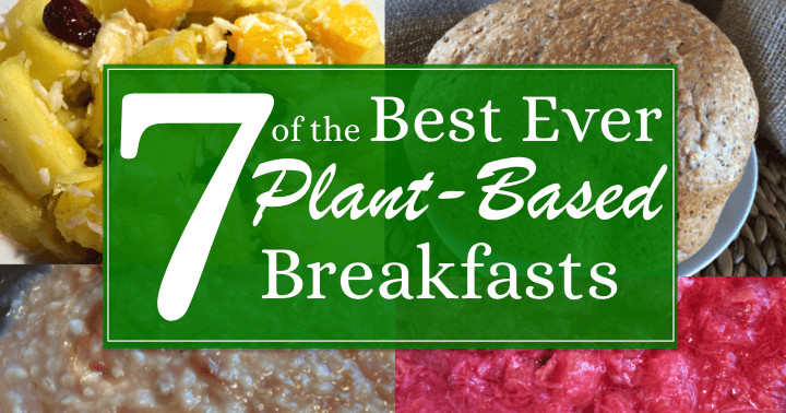 Plant Based Diet Breakfast
 7 of the best ever plant based breakfasts