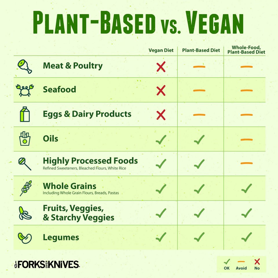 Plant Based Diet Food List
 Why are oils not part of a whole food plant based t