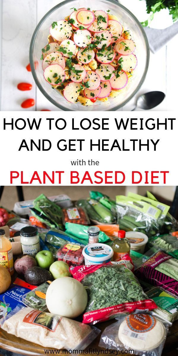 Plant Based Diet For Beginners Clean Eating
 Plant Based Diet on a Bud for Beginners