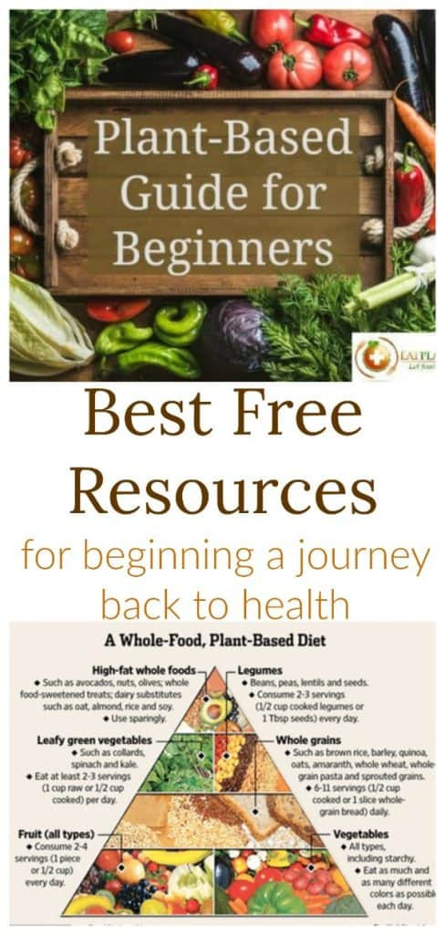 Plant Based Diet For Beginners
 Plant Based Diet Beginners Guide