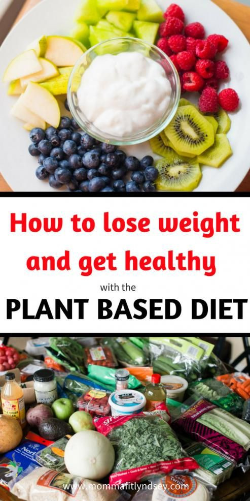 Plant Based Diet For Beginners On A Budget
 Plant Based Diet and Easy Recipes on a Bud for Plant