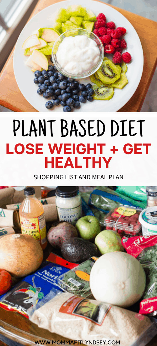 Plant Based Diet For Beginners On A Budget
 Plant Based Diet on a Bud for Beginners Momma Fit Lyndsey