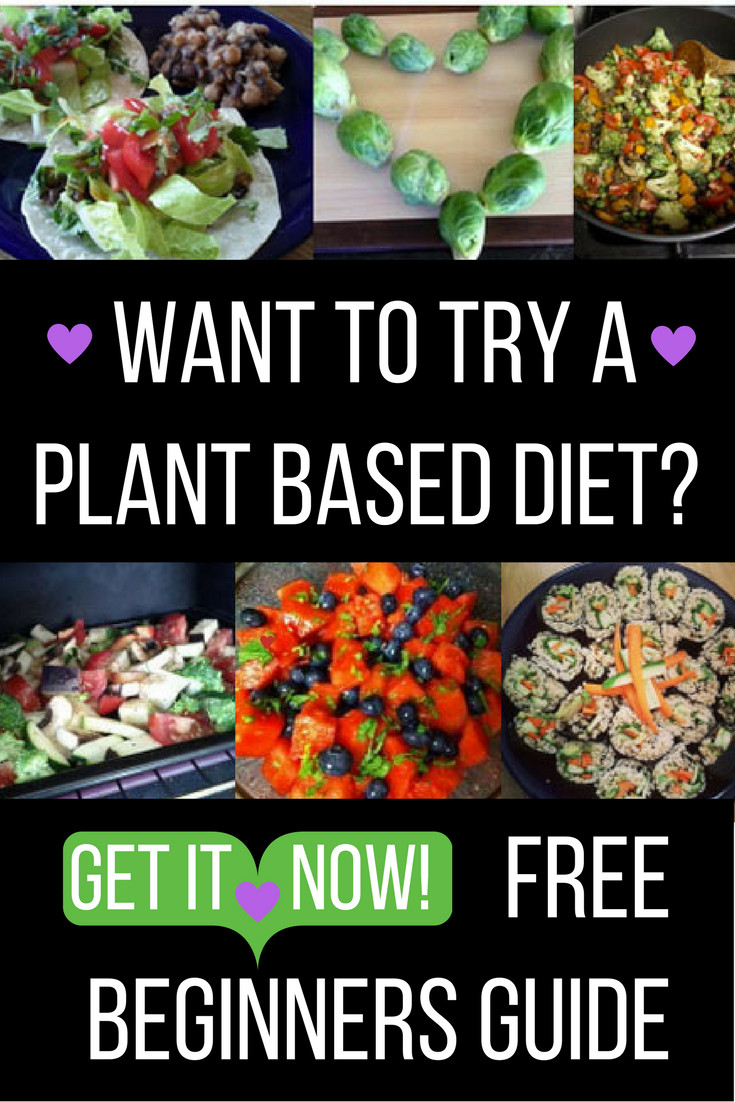 Plant Based Diet For Beginners Simple
 The plete Beginner s Guide to Eating A More Plant Based