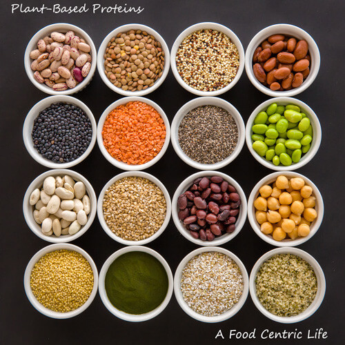 Plant Based Diet For Beginners Sources Of Protein
 Guide to Plant Based Protein Part 1