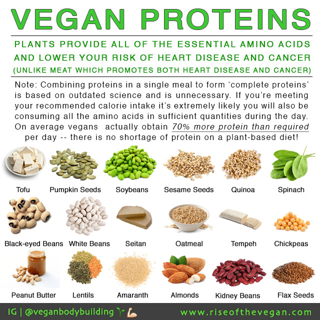 Plant Based Diet For Beginners Sources Of Protein
 "But where do you your protein "
