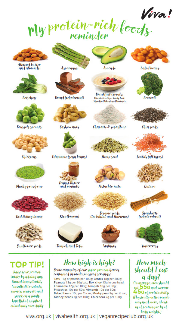 Plant Based Diet For Beginners Sources Of Protein
 Protein rich foods wallchart Resources