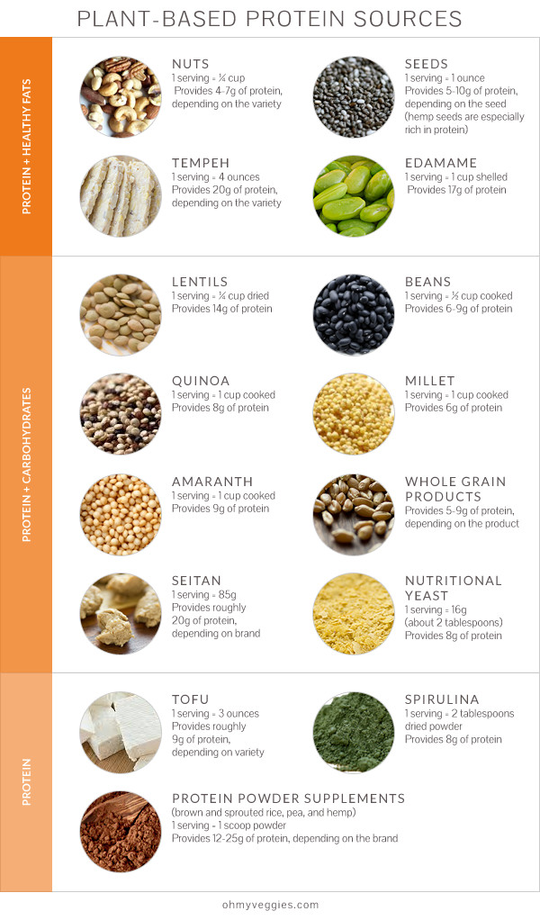 Plant Based Diet For Beginners Sources Of Protein
 Plant Based Protein Sources Tips