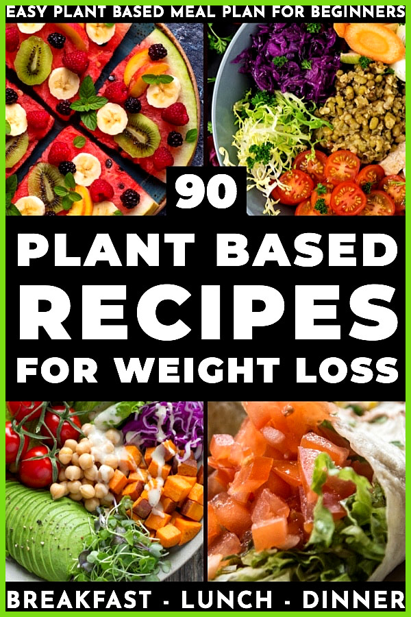 Plant Based Diet For Beginners To Lose Weight
 Plant Based Diet Meal Plan For Beginners 21 Days of Whole