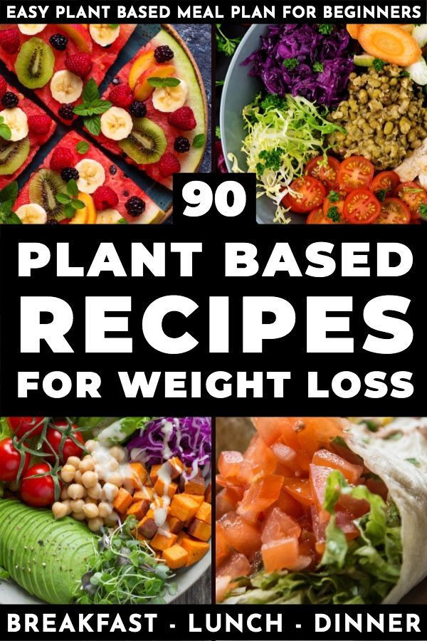 Plant Based Diet For Beginners To Lose Weight Meal Plan
 Plant Based Diet Meal Plan For Beginners 90 Plant Based