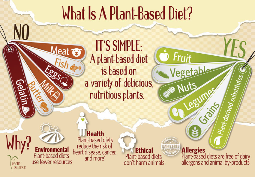 Plant Based Diet For Diabetics
 Healthy Plant based Diet Linked with Substantially Lower