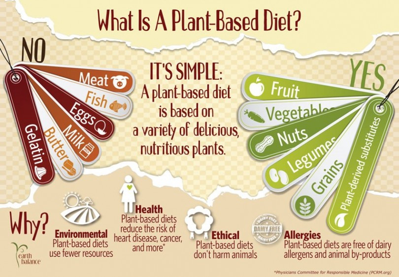 Plant Based Diet For Weight Loss Health
 Whole Food Plant Based Diet for Weight Loss The Tartan