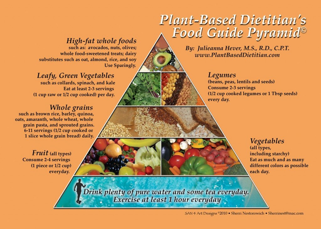 Plant Based Diet List
 Is it possible to be a vegan runner SandyFeet Events