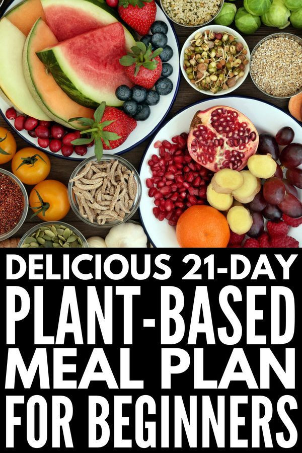 Plant Based Diet Meal Plan For Beginners
 Plant Based Diet Meal Plan for Beginners 21 Day Kickstart