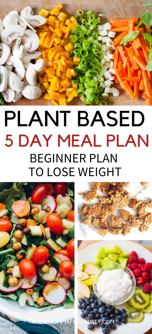 Plant Based Diet Meal Plan For Beginners
 Plant Based Diet on a Bud for Beginners