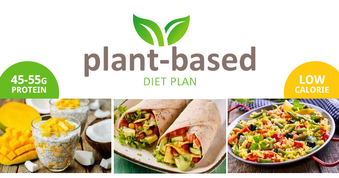 Plant Based Diet Meal Plan Losing Weight
 Low Calorie Plant Based Diet Plan Weight Loss Resources