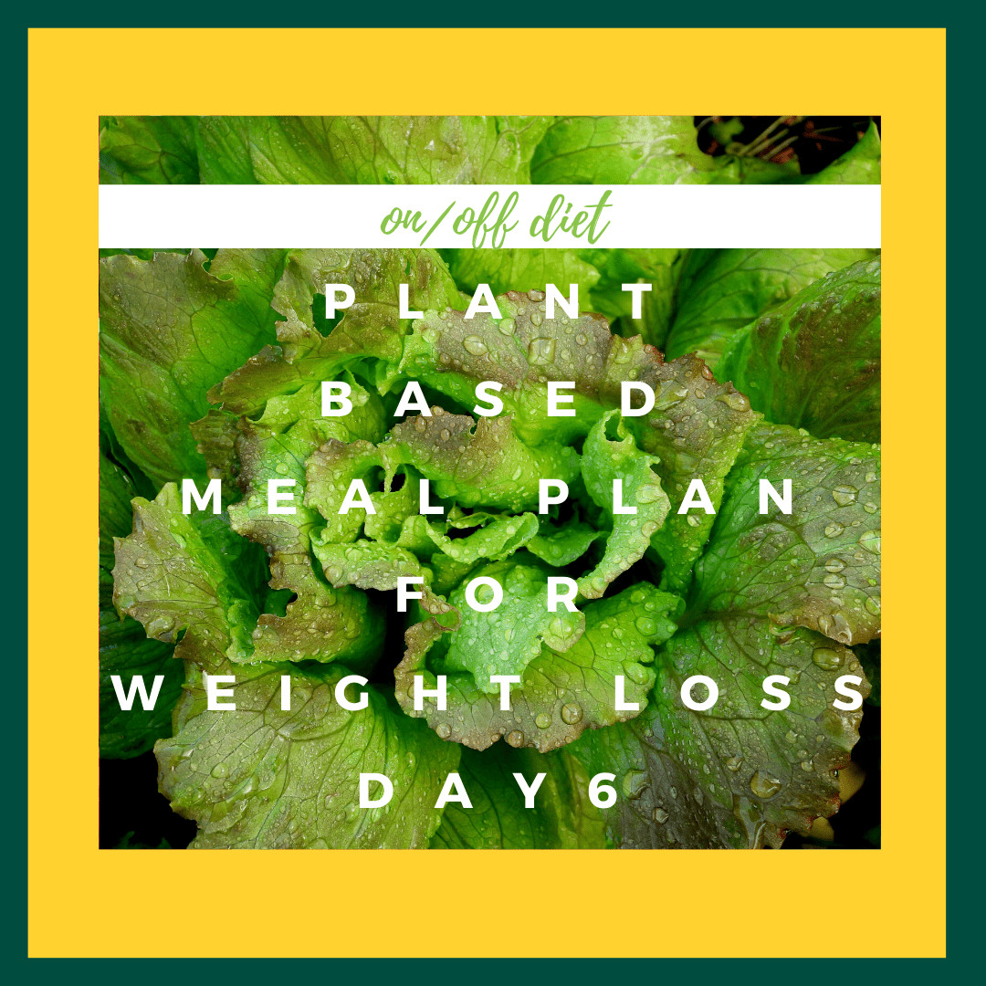 Plant Based Diet Meal Plan Losing Weight
 Plant Based Meal Plan for Weight Loss 6 [ 1500cal