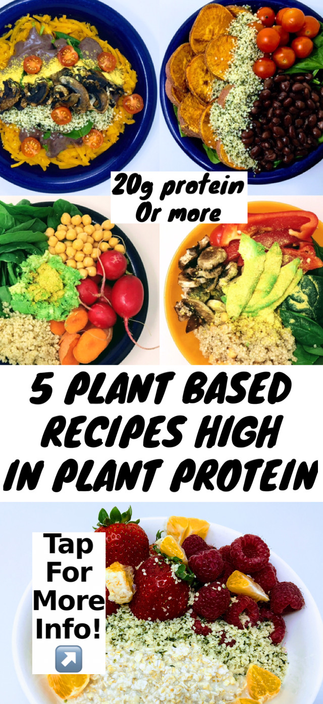 Plant Based Diet Meal Prep
 5 High Protein Plant Based Recipes Any reason vegans