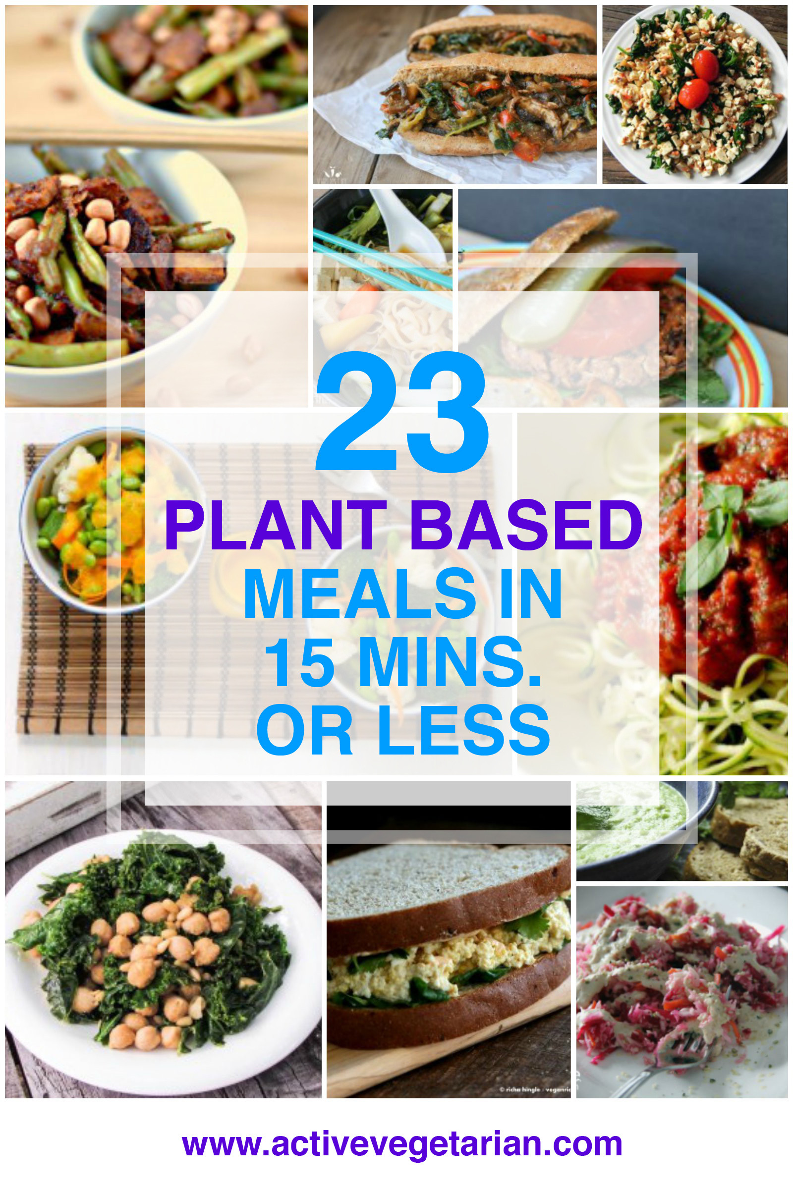 Plant Based Diet Meals
 23 Plant Based Meals in 15 Minutes or Less