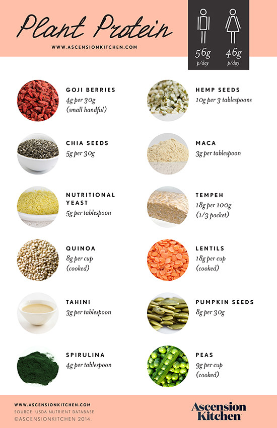 Plant Based Diet Protein
 Plant Based Protein Sources