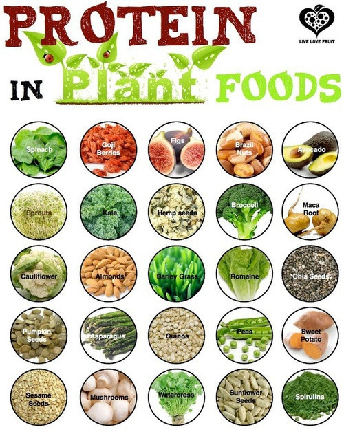 Plant Based Diet Protein
 plant based t